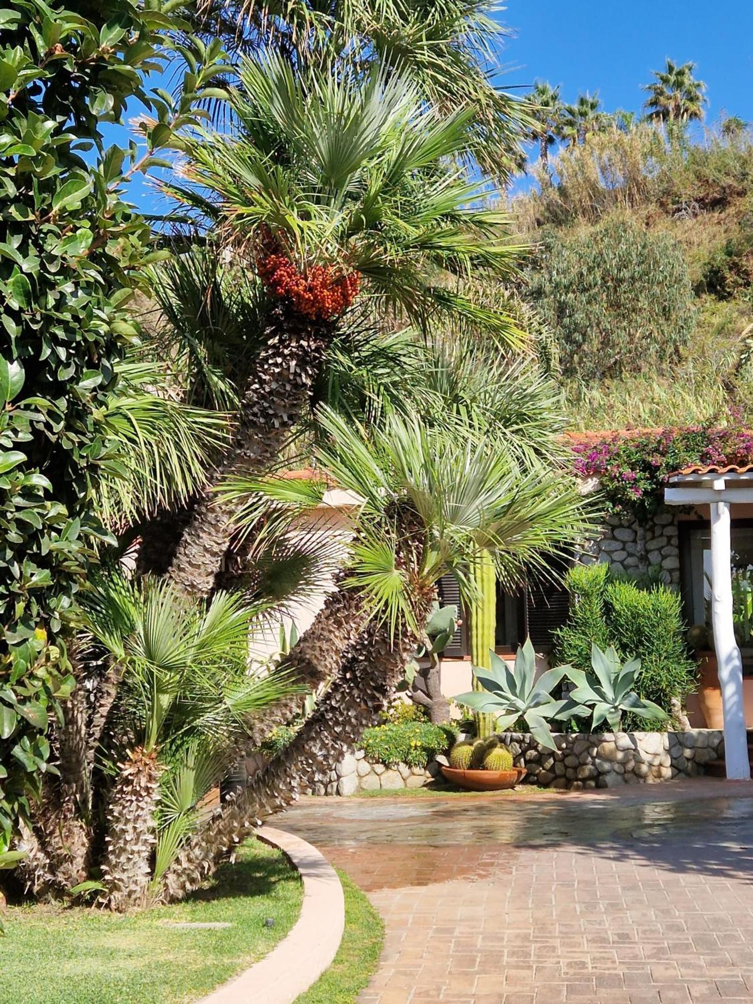 Hotel Villaggio Cala Di Volpe กาโปวาติกาโน ภายนอก รูปภาพ