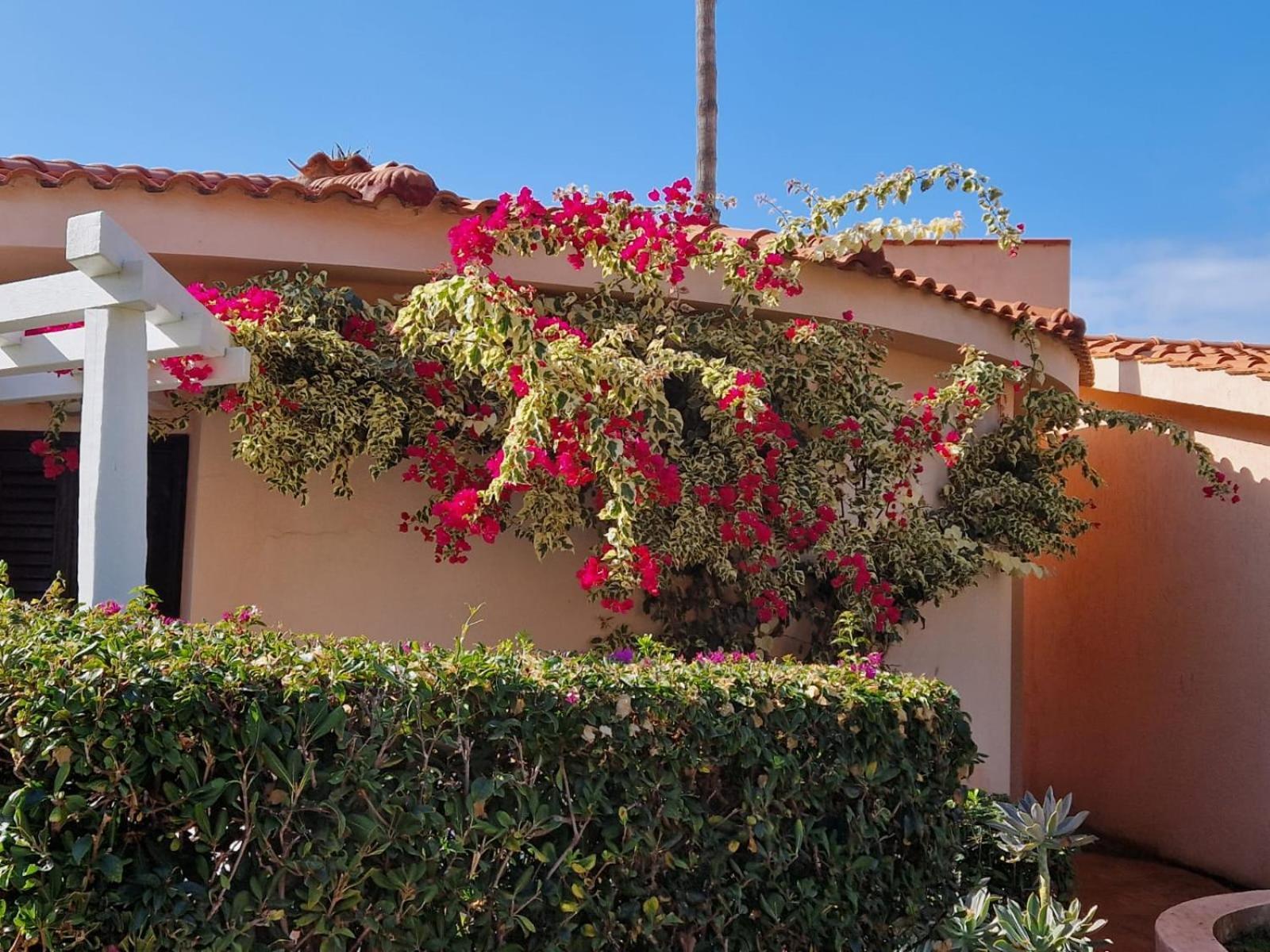 Hotel Villaggio Cala Di Volpe กาโปวาติกาโน ภายนอก รูปภาพ