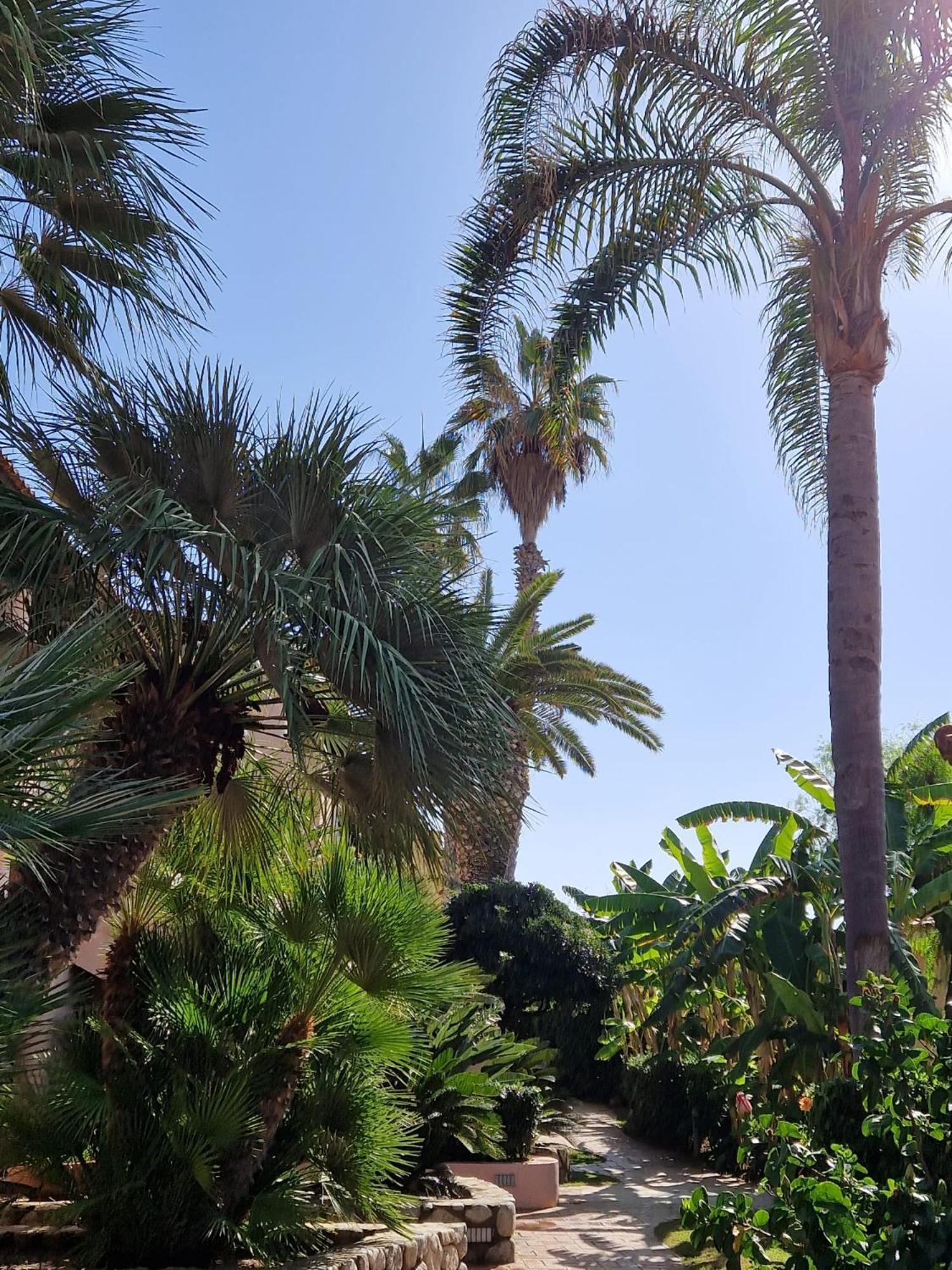Hotel Villaggio Cala Di Volpe กาโปวาติกาโน ภายนอก รูปภาพ