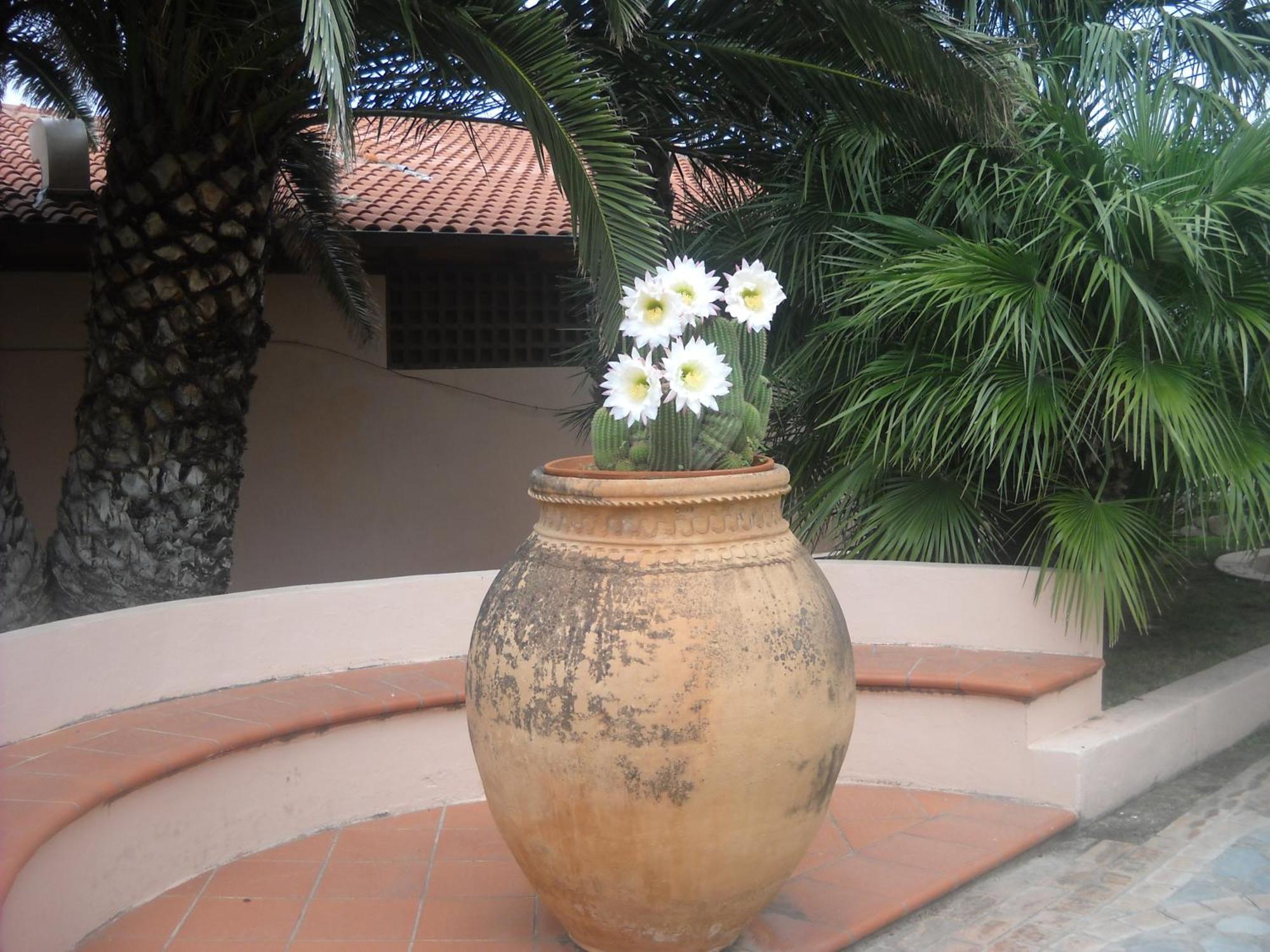 Hotel Villaggio Cala Di Volpe กาโปวาติกาโน ภายนอก รูปภาพ